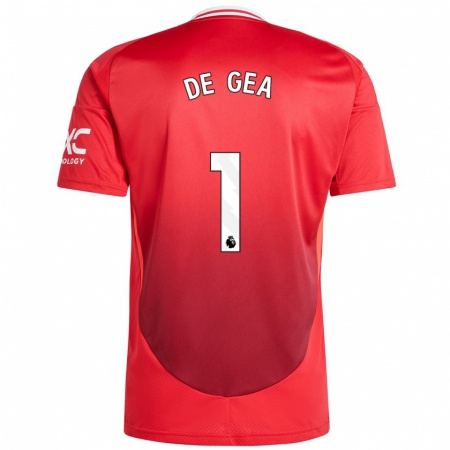 Kandiny Muži David De Gea #1 Jasne Červená Dresy Hazai Csapatmez 2024/25 Triĭká